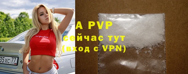 хмурый Гусев
