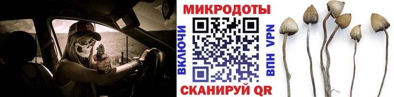 Галлюциногенные грибы Cubensis  Дивногорск 
